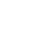 ISO Verified